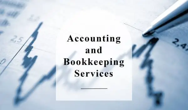 Professional Bookkeeping Services